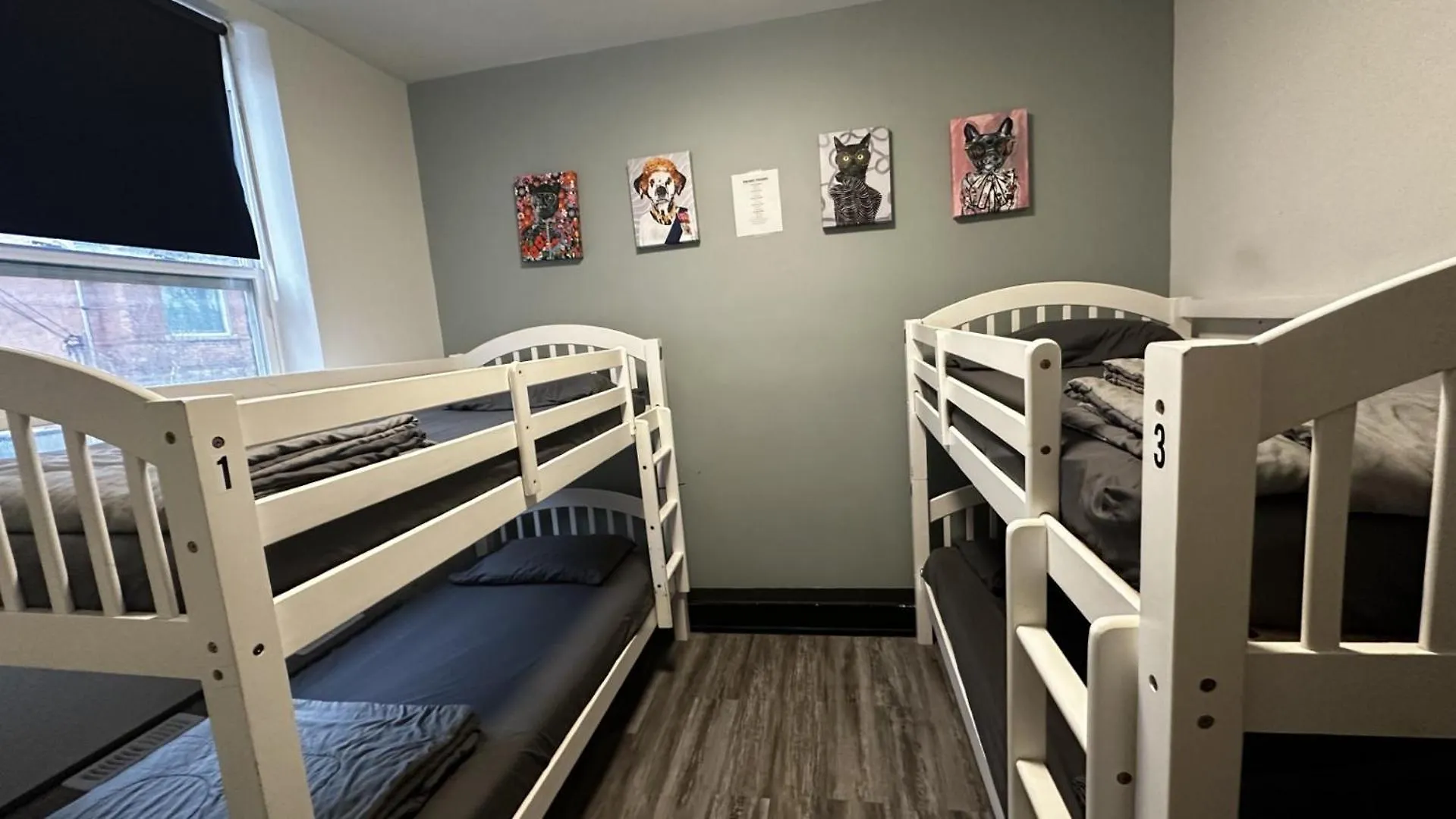 Queen Nest Hotel Toronto 2*,  Canada